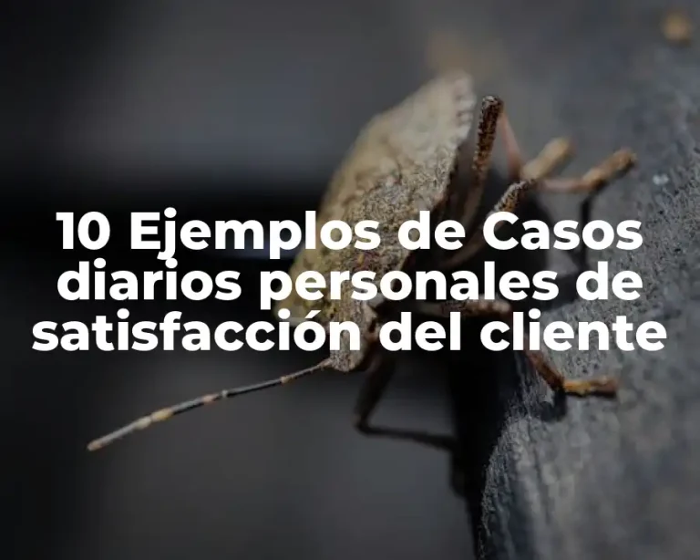 10 Ejemplos de Casos diarios personales de satisfacción del cliente