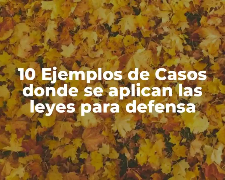 10 Ejemplos de Casos donde se aplican las leyes para defensa