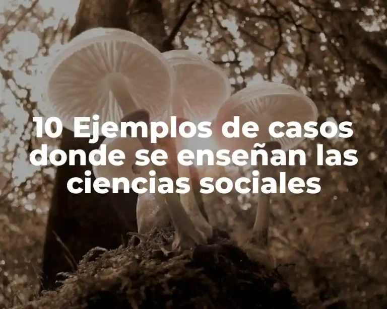 10 Ejemplos de casos donde se enseñan las ciencias sociales