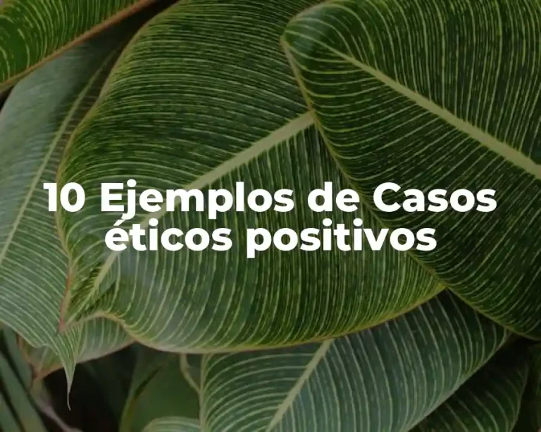 10 Ejemplos de Casos éticos positivos