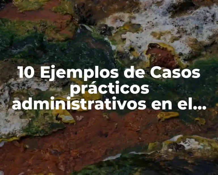 10 Ejemplos de Casos prácticos administrativos en el turismo
