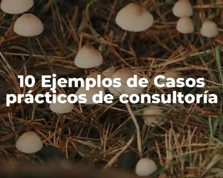 10 Ejemplos de Casos prácticos de consultoría