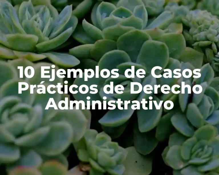 10 Ejemplos de Casos Prácticos de Derecho Administrativo