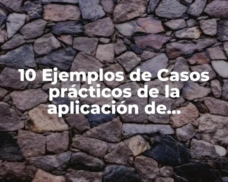 10 Ejemplos de Casos prácticos de la aplicación de regulaciones