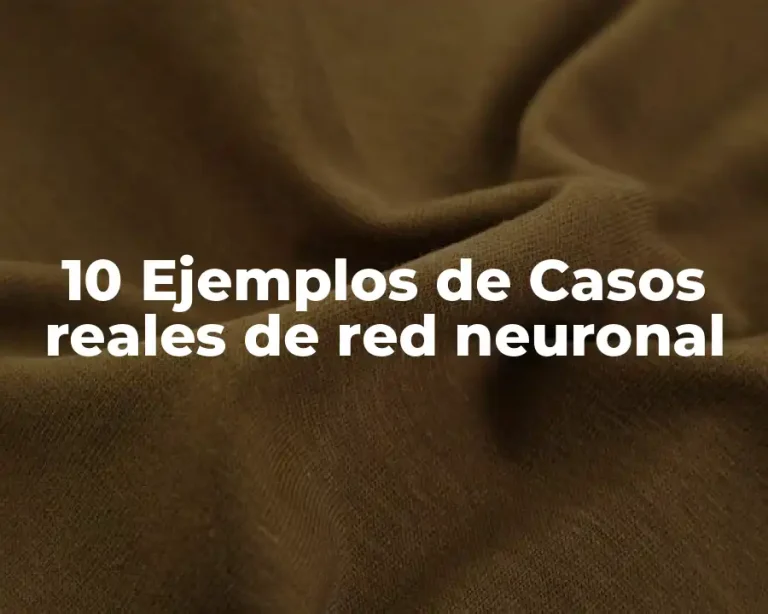10 Ejemplos de Casos reales de red neuronal