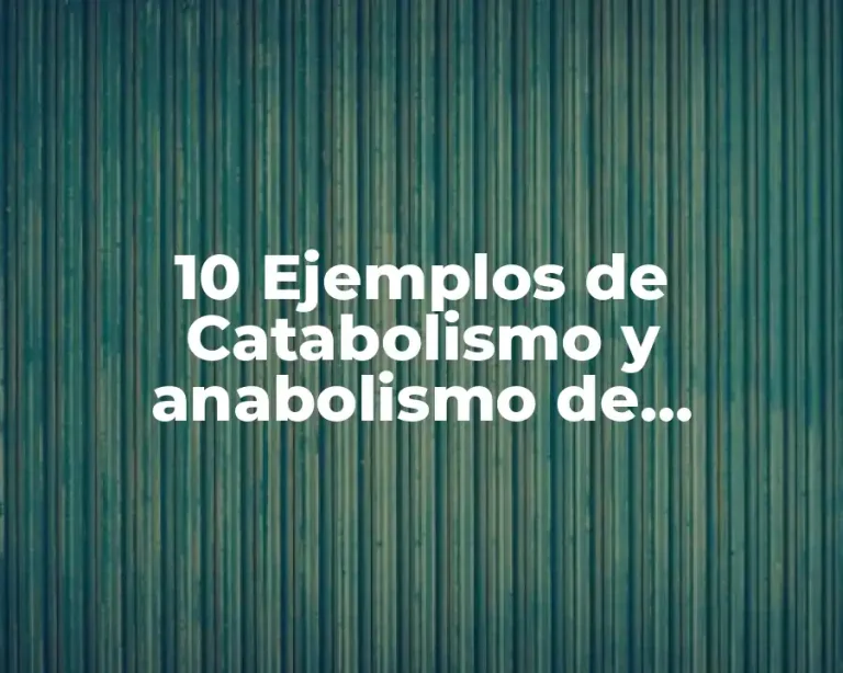 10 Ejemplos de Catabolismo y anabolismo de animales