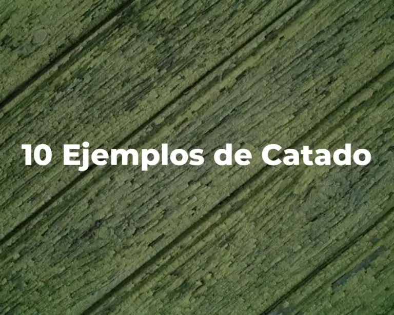 10 Ejemplos de Catado
