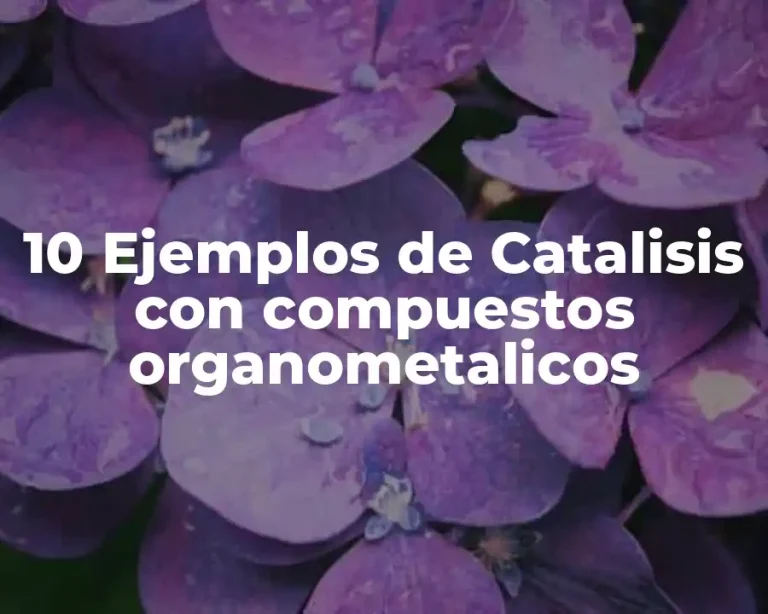 10 Ejemplos de Catalisis con compuestos organometalicos