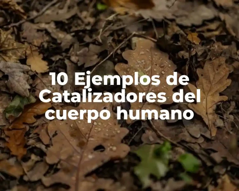 10 Ejemplos de Catalizadores del cuerpo humano