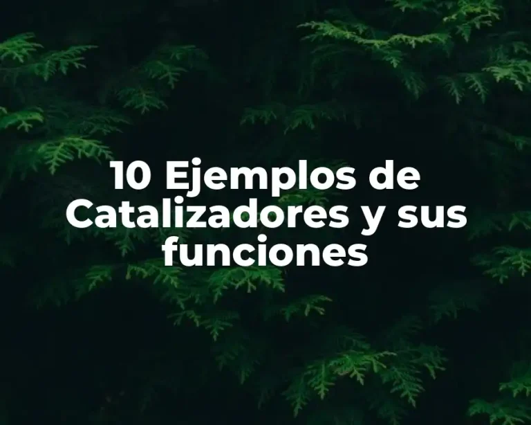 10 Ejemplos de Catalizadores y sus funciones