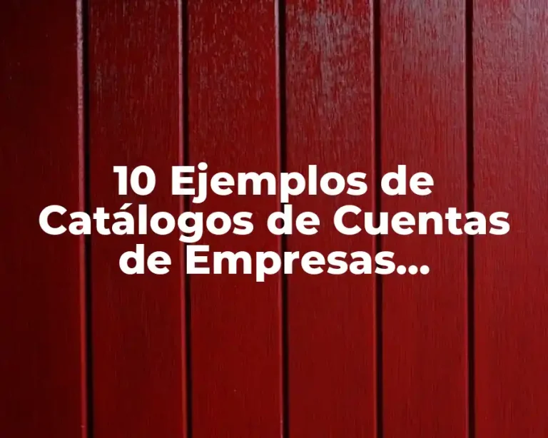 10 Ejemplos de Catálogos de Cuentas de Empresas Comerciales