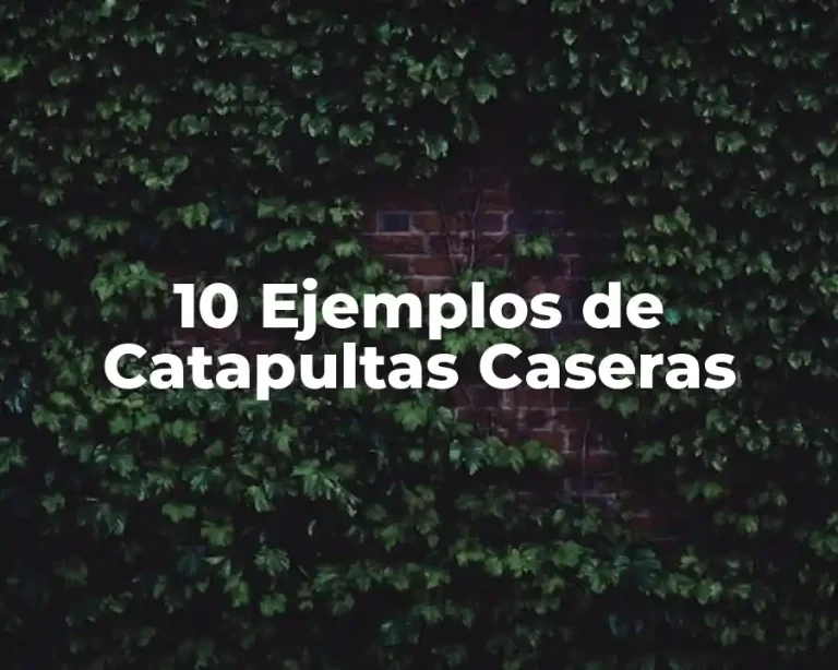 10 Ejemplos de Catapultas Caseras