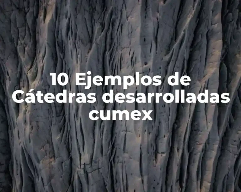 10 Ejemplos de Cátedras desarrolladas cumex