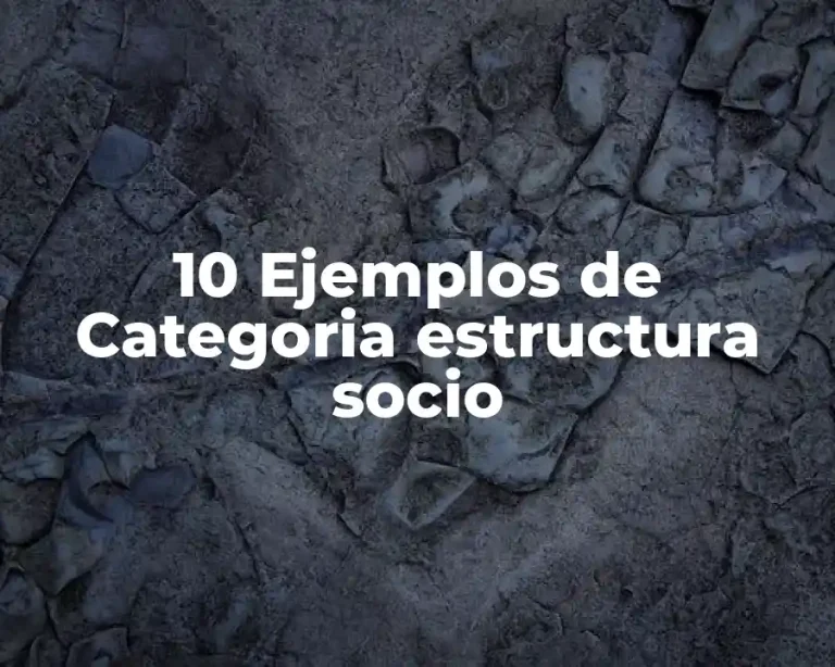 10 Ejemplos de Categoria estructura socio