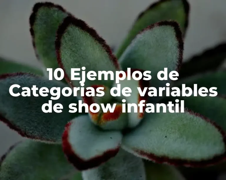 10 Ejemplos de Categorias de variables de show infantil