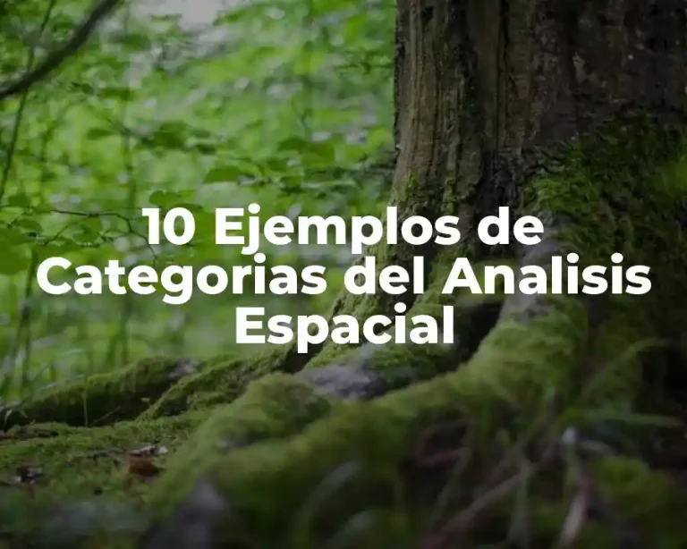 10 Ejemplos de Categorias del Analisis Espacial