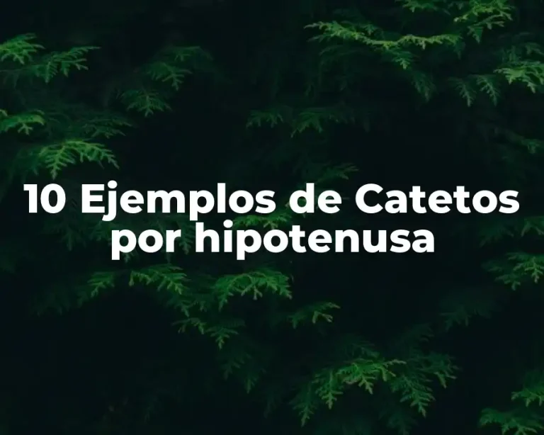 10 Ejemplos de Catetos por hipotenusa