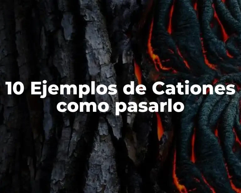 10 Ejemplos de Cationes como pasarlo