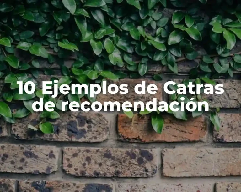 10 Ejemplos de Catras de recomendación