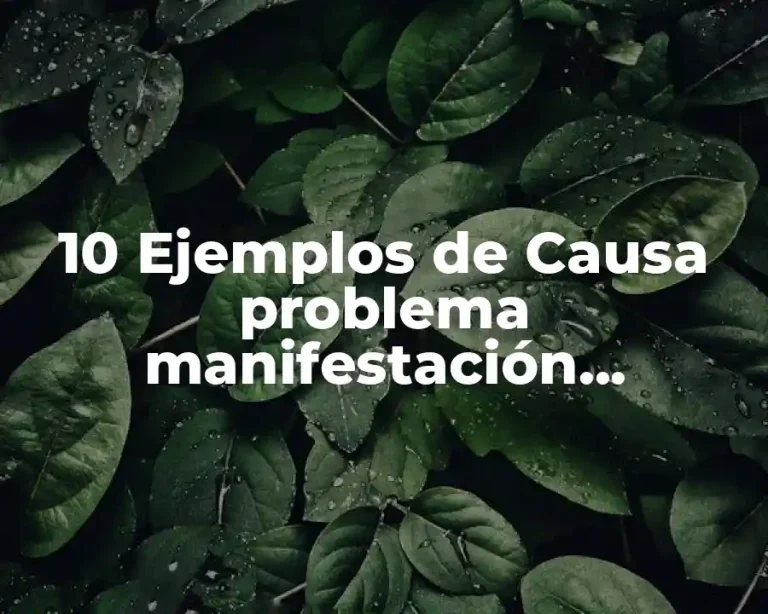 10 Ejemplos de Causa problema manifestación patología