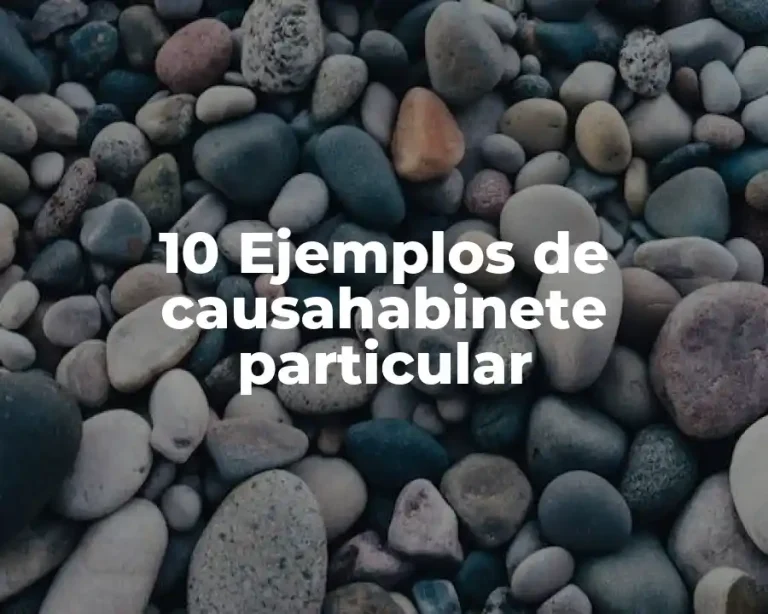 10 Ejemplos de causahabinete particular