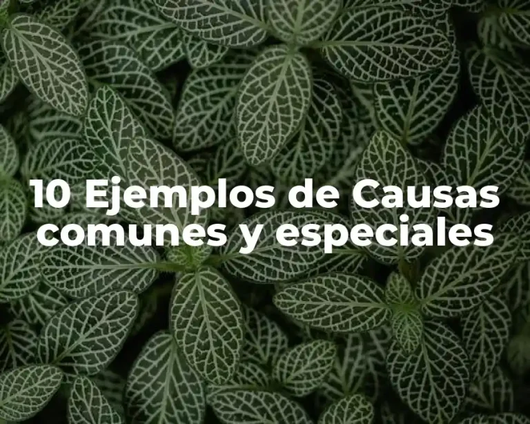10 Ejemplos de Causas comunes y especiales