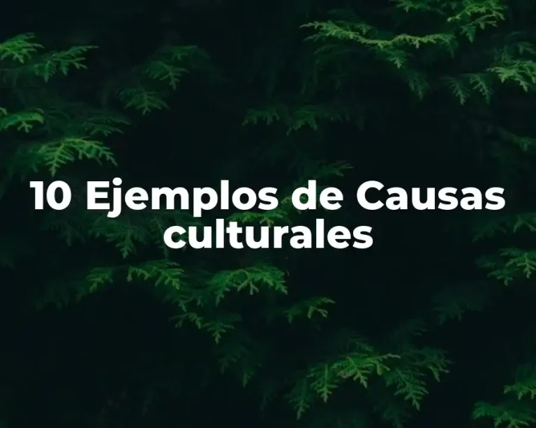 10 Ejemplos de Causas culturales