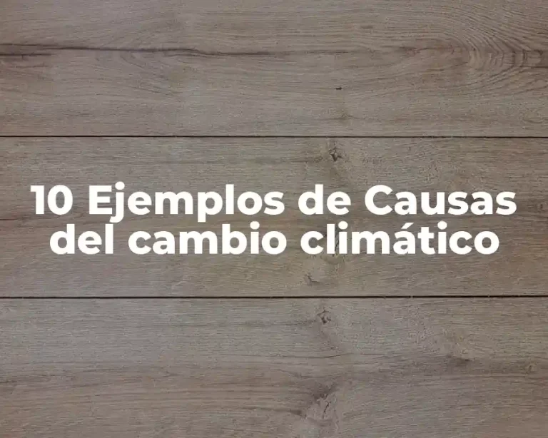 10 Ejemplos de Causas del cambio climático