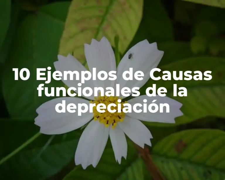 10 Ejemplos de Causas funcionales de la depreciación