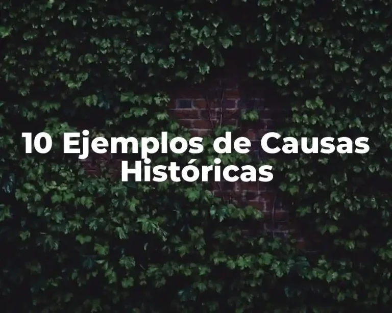 10 Ejemplos de Causas Históricas