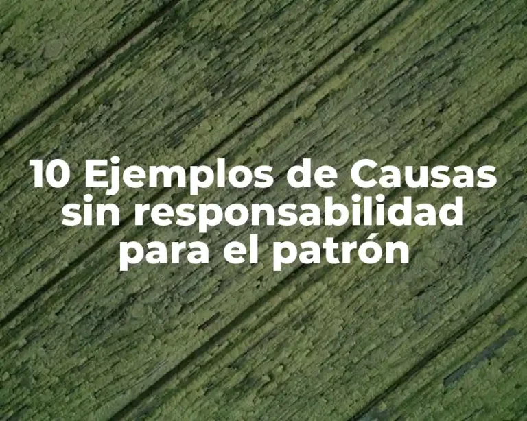 10 Ejemplos de Causas sin responsabilidad para el patrón
