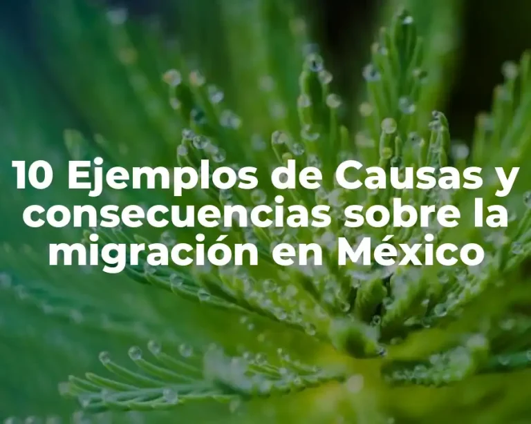 10 Ejemplos de Causas y consecuencias sobre la migración en México