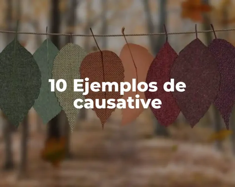 10 Ejemplos de causative
