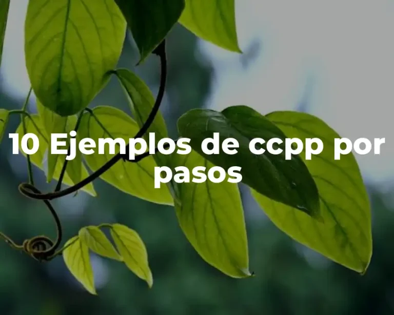 10 Ejemplos de ccpp por pasos