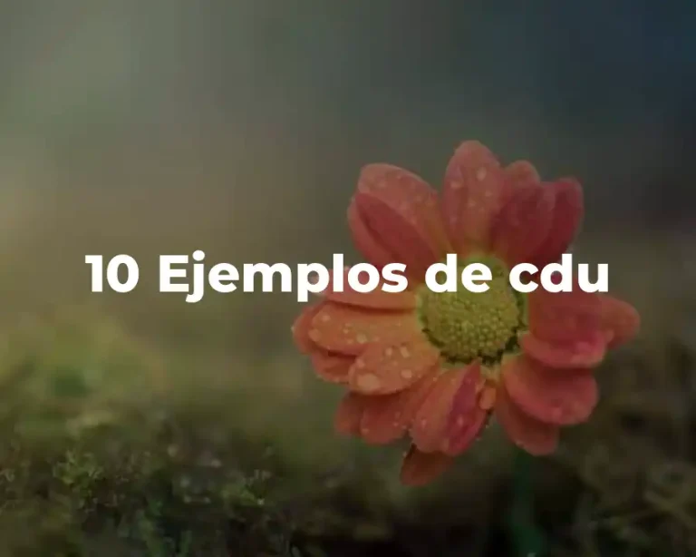 10 Ejemplos de cdu