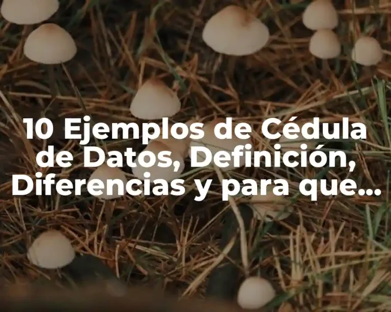10 Ejemplos de Cédula de Datos, Definición, Diferencias y para que sirve
