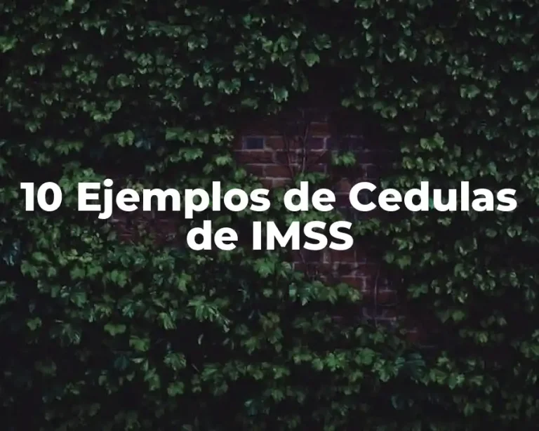 10 Ejemplos de Cedulas de IMSS