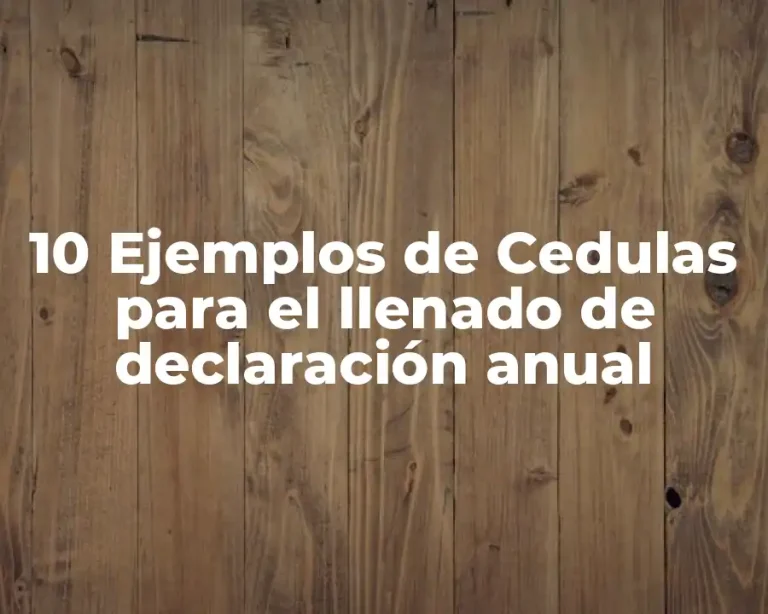 10 Ejemplos de Cedulas para el llenado de declaración anual