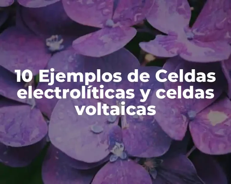 10 Ejemplos de Celdas electrolíticas y celdas voltaicas