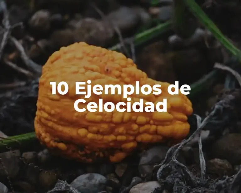 10 Ejemplos de Celocidad