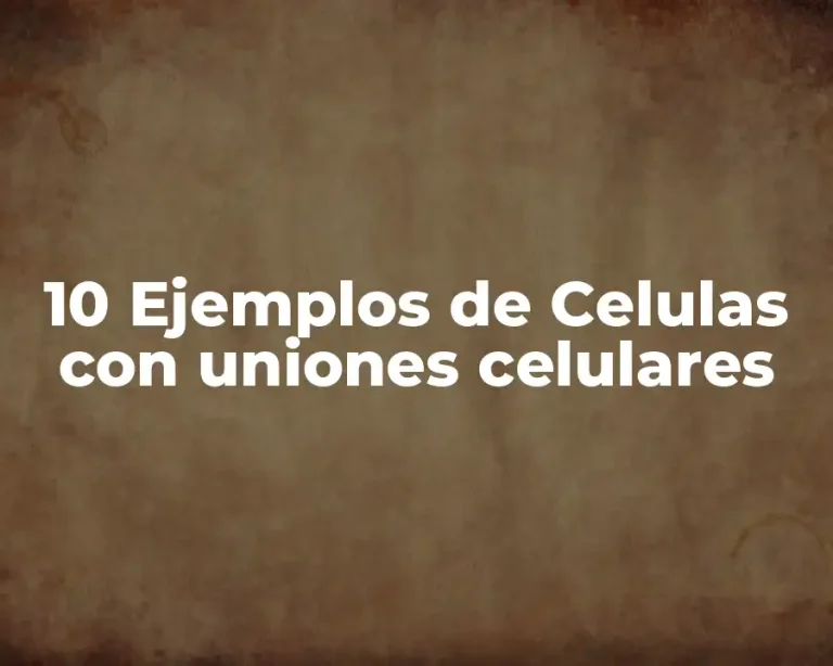10 Ejemplos de Celulas con uniones celulares