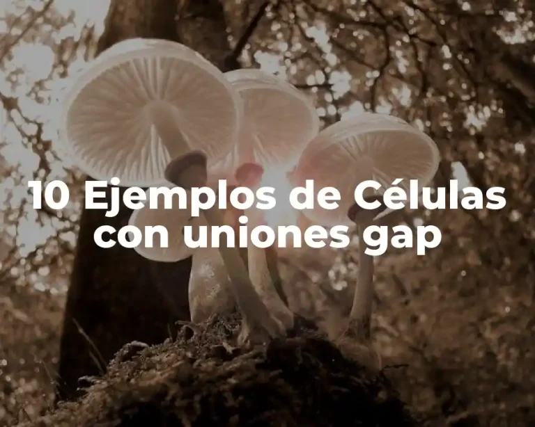 10 Ejemplos de Células con uniones gap