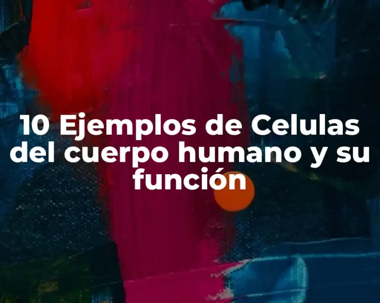10 Ejemplos de Celulas del cuerpo humano y su función