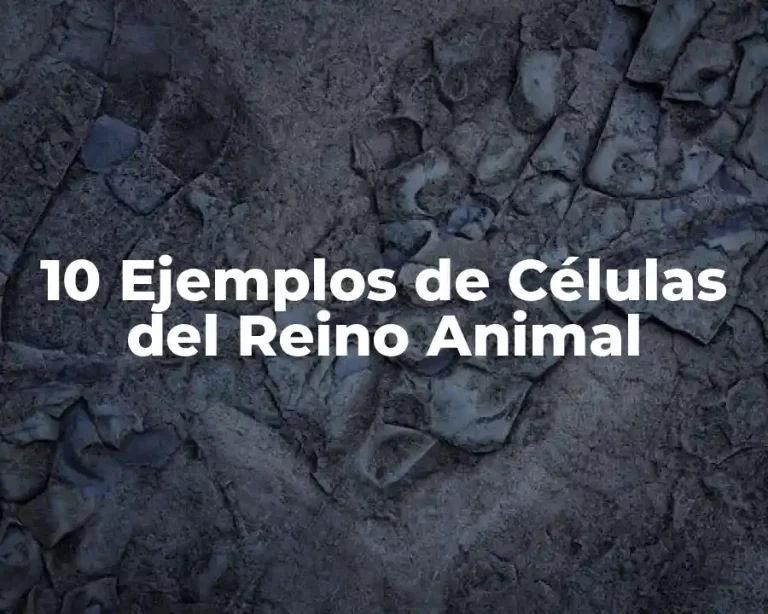 10 Ejemplos de Células del Reino Animal