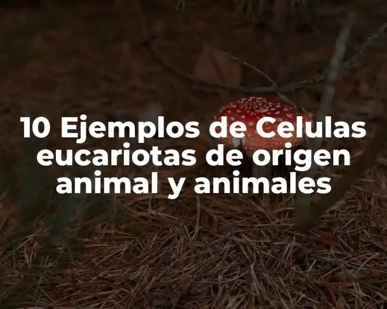 10 Ejemplos de Celulas eucariotas de origen animal y animales