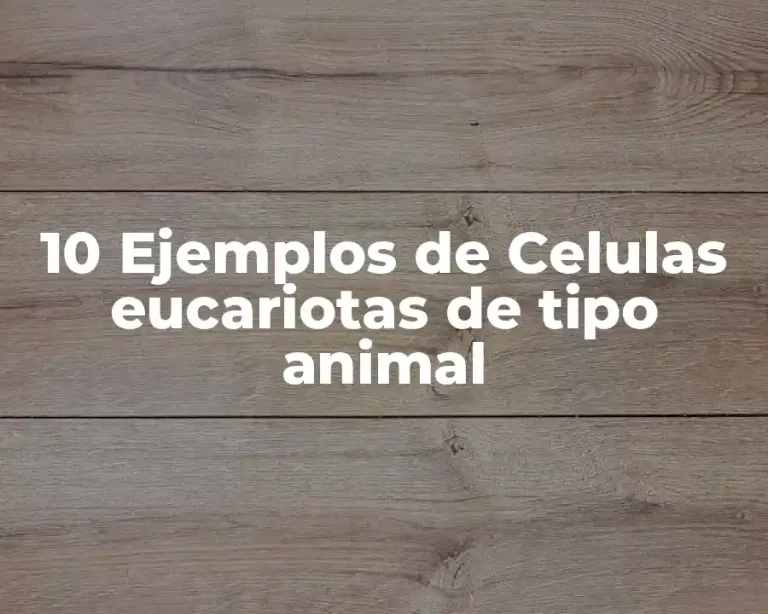 10 Ejemplos de Celulas eucariotas de tipo animal