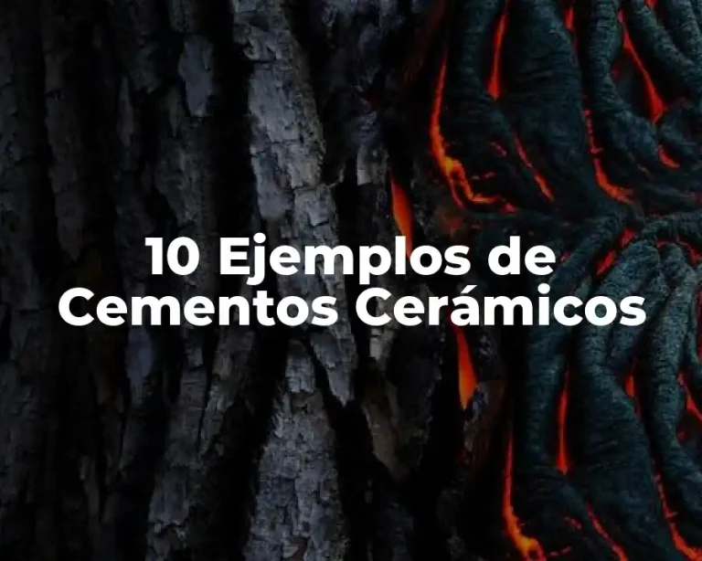 10 Ejemplos de Cementos Cerámicos