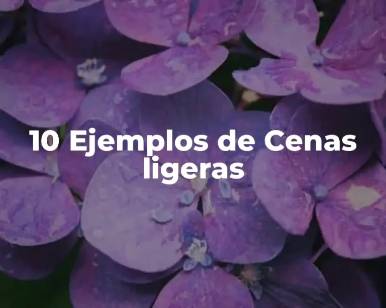 10 Ejemplos de Cenas ligeras