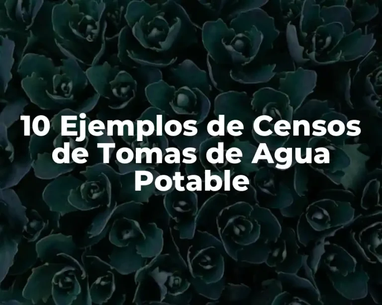 10 Ejemplos de Censos de Tomas de Agua Potable