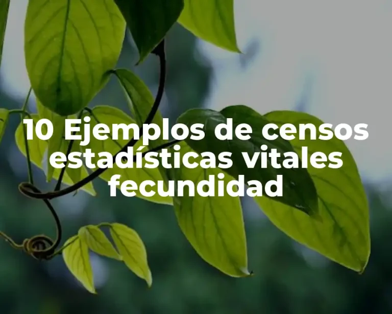 10 Ejemplos de censos estadísticas vitales fecundidad